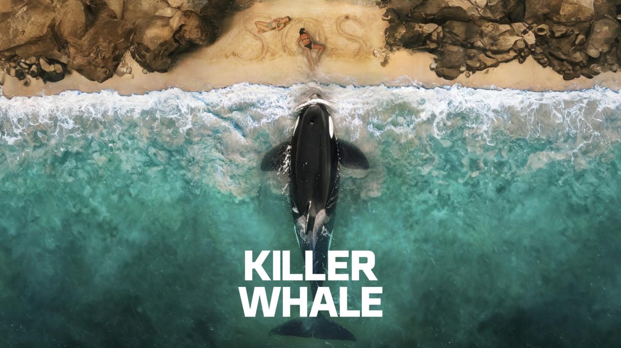 فيلم Killer Whale 2026 مترجم حصرى بجودة عالية ONLINE