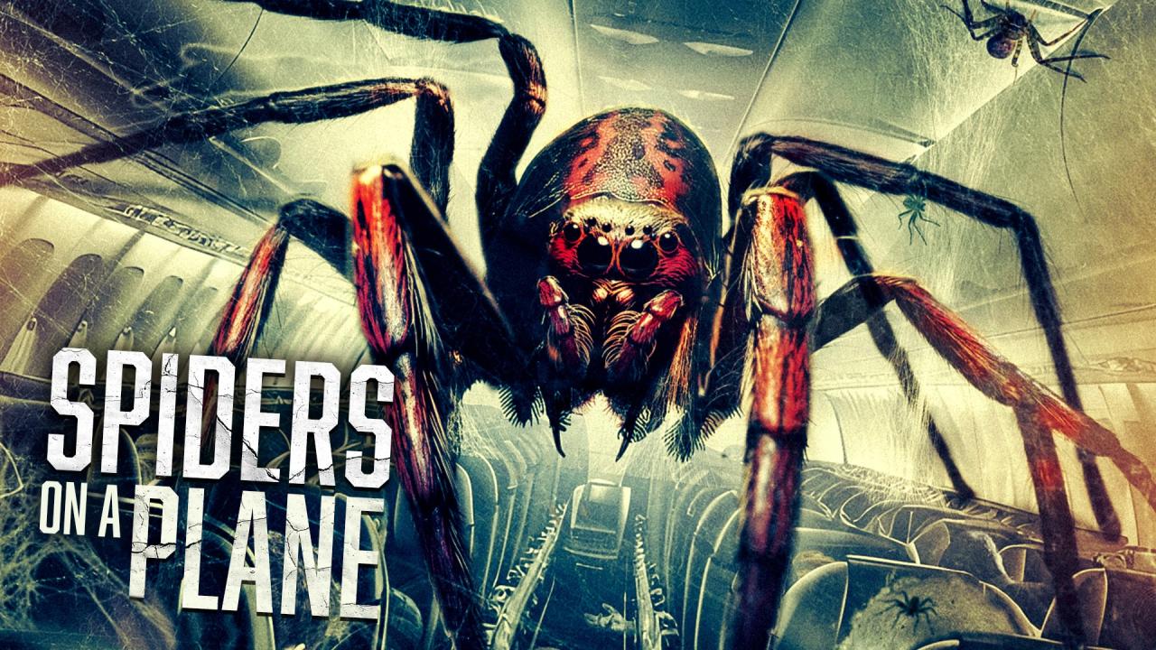 فيلم Spiders On A Plane 2024 مترجم حصرى ONLINE